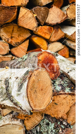Detail of stacked rough-barked firewood logs with an orange autumn leaf, a cozy natural texture Detail of stacked rough-barked firewood logs with an orange autumn leaf, a cozy natural texture 133985937