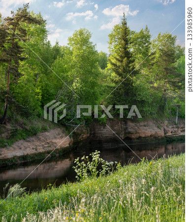 A cozy corner of nature with green trees reflected in the calm water. Perfect for themes of ecology, recreation, and sustainable development A cozy corner of nature with green trees reflected in the calm water. Perfect for themes of ecology, recreation, and sustainable development 133985960