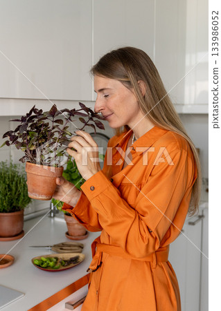 Woman gardener in kitchen holding potted basil in hands smelling fresh aroma, touches purple foliage Woman gardener in kitchen holding potted basil in hands smelling fresh aroma, touches purple foliage 133986052