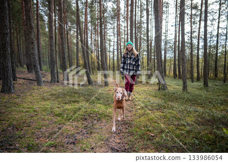 Joyful woman walking with Vizsla dog on leash in autumn pine forest, enjoying active rest Joyful woman walking with Vizsla dog on leash in autumn pine forest, enjoying active rest 133986054