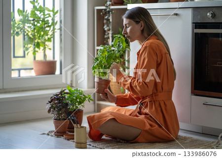 Woman gardener sits in kitchen holding potted basil in hands smelling fresh aroma, touching foliage. Woman gardener sits in kitchen holding potted basil in hands smelling fresh aroma, touching foliage. 133986076
