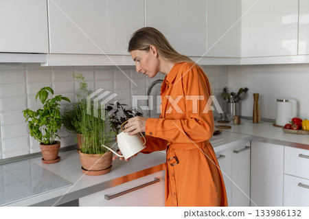 Dedicated woman watering potted kitchen herbs with can, miniature garden care with basil and dill Dedicated woman watering potted kitchen herbs with can, miniature garden care with basil and dill 133986132