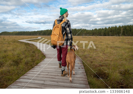 Woman holding hunting dog by collar, walking on wooden ecological trail through raised sphagnum bog. Woman holding hunting dog by collar, walking on wooden ecological trail through raised sphagnum bog. 133986148