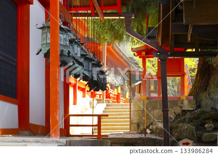 Hanging lanterns at Kasuga Taisha Shrine, a World Heritage Site in Nara Prefecture Hanging lanterns at Kasuga Taisha Shrine, a World Heritage Site in Nara Prefecture 133986284
