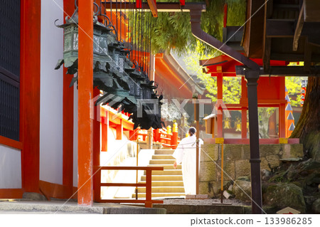奈良縣世界遺產春日大社懸掛的燈籠 133986285