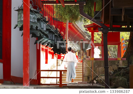 奈良縣世界遺產春日大社懸掛的燈籠 133986287
