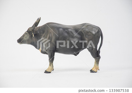 buffalo on isolated background buffalo on isolated background 133987538