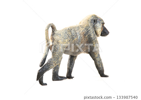 baboon animal on isolated background baboon animal on isolated background 133987540