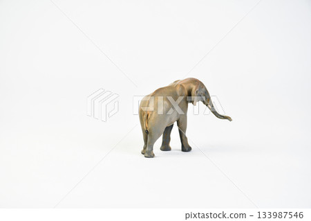 Stegodon animal on isolated background 133987546