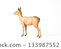 Roe Deer animal on isolated background 133987552