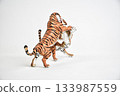 tiger animal on isolated background 133987559
