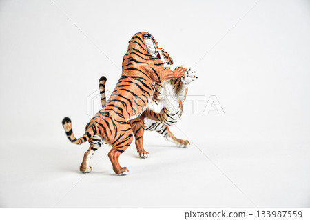 tiger animal on isolated background 133987559