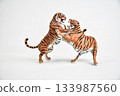 tiger animal on isolated background 133987560