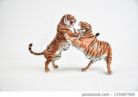 tiger animal on isolated background 133987560