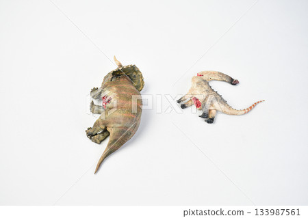 Dinosaur remains animal on isolated background Dinosaur remains animal on isolated background 133987561