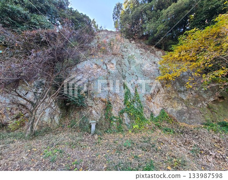 蓬蓬山岩壁 133987598