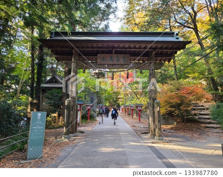 高尾山上信門 高尾山上信門 133987780