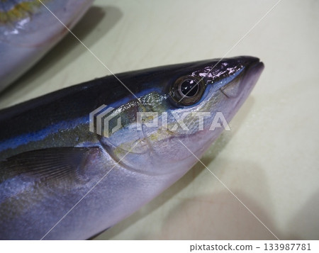 Close-up of a rainbow amberjack's head (fresh fish) 133987781