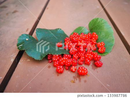 Beautiful wild strawberries with green leaves and red berries (close-up) 133987786