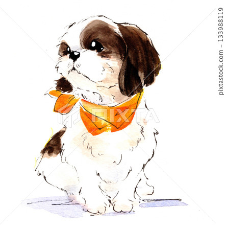 Watercolor illustration of a Shih Tzu wearing an orange bandana 133988119