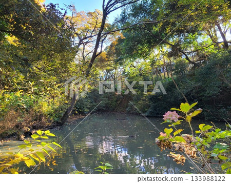 白金自然教育花園 133988122