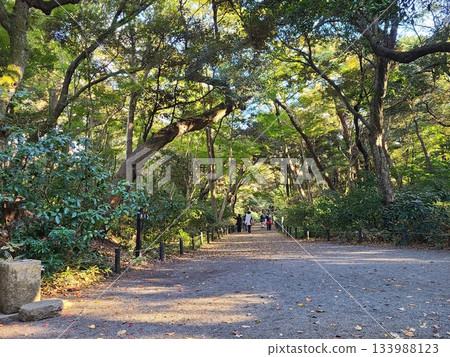 白金自然教育公園長廊 133988123