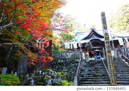 法光寺半藏坊神殿的秋景及秋葉 法光寺半藏坊神殿的秋景及秋葉 133988401