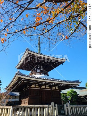 Gokokuji Taisou 133988417