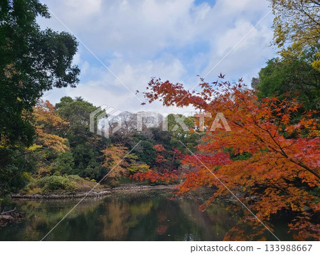 University of Tokyo Sanshiro Pond University of Tokyo Sanshiro Pond 133988667