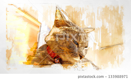 sketch style cat cat cat kijitora gray female female female cat female cat healthy pretty healing sketch style cat cat cat kijitora gray female female female cat female cat healthy pretty healing 133988971