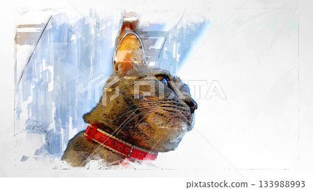 素描 風格 貓 貓 貓 kijitora 灰色 女 女 母貓 母貓 健康 漂亮 癒合 素描 風格 貓 貓 貓 kijitora 灰色 女 女 母貓 母貓 健康 漂亮 癒合 133988993