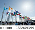 National flag at the East Gate of the Osaka Kansai Expo 133989399