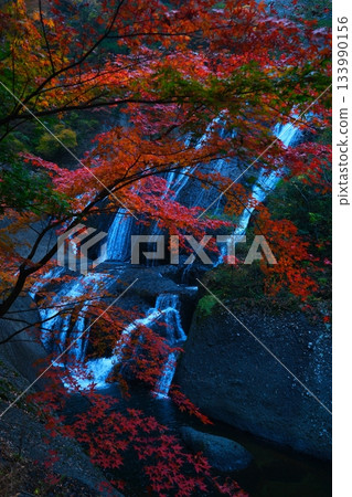 Fukuroda秋天秋葉 Fukuroda秋天秋葉 133990156