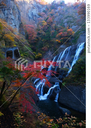 Fukuroda秋天秋葉 Fukuroda秋天秋葉 133990169