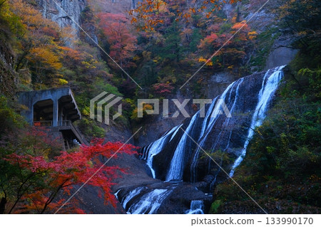 Fukuroda秋天秋葉 Fukuroda秋天秋葉 133990170