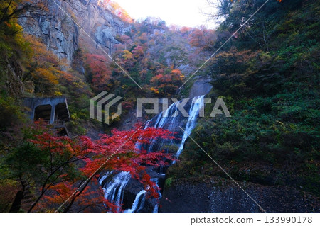 Fukuroda秋天秋葉 Fukuroda秋天秋葉 133990178