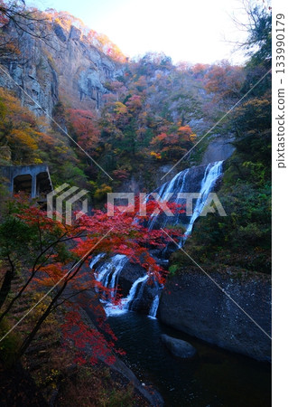 Fukuroda秋天秋葉 Fukuroda秋天秋葉 133990179