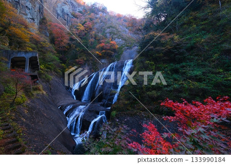 Autumn leaves of Fukuroda Falls Autumn leaves of Fukuroda Falls 133990184