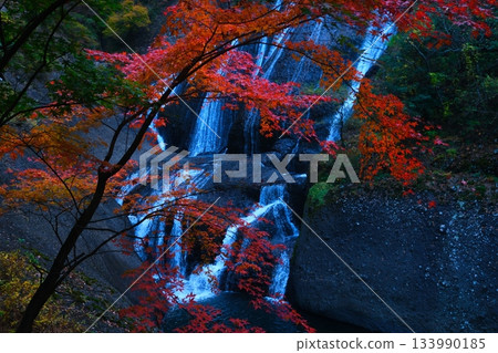 Fukuroda秋天秋葉 Fukuroda秋天秋葉 133990185