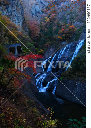 Fukuroda秋天秋葉 Fukuroda秋天秋葉 133990187