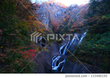 Autumn leaves of Fukuroda Falls Autumn leaves of Fukuroda Falls 133990195