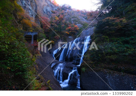 Fukuroda秋天秋葉 Fukuroda秋天秋葉 133990202