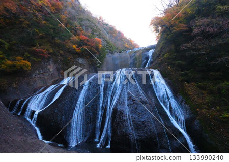 Fukuroda秋天秋葉 Fukuroda秋天秋葉 133990240