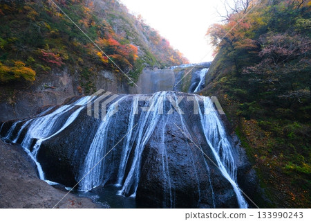 Autumn leaves of Fukuroda Falls 133990243