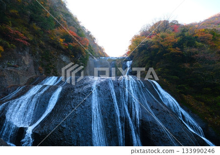 Fukuroda秋天秋葉 Fukuroda秋天秋葉 133990246