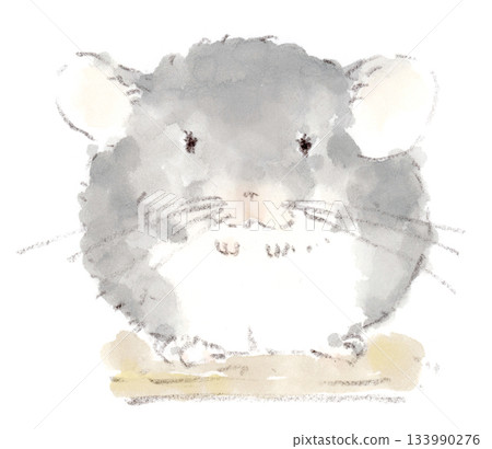 觀察龍貓，水彩插畫，描繪了一隻龍貓蜷縮打盹，眼睛睜開。 133990276