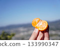 橘子 133990347