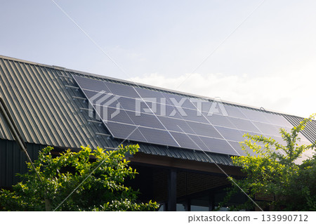 Eco House With Solar Roof 133990712