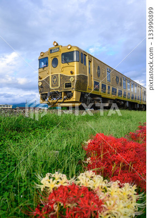 彼岸花和《某列車》 133990899