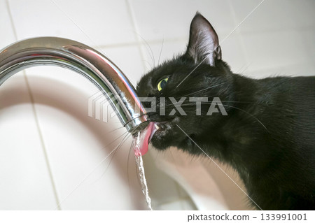 Close-up of a black cat lapping water from a running faucet in a clean, 133991001